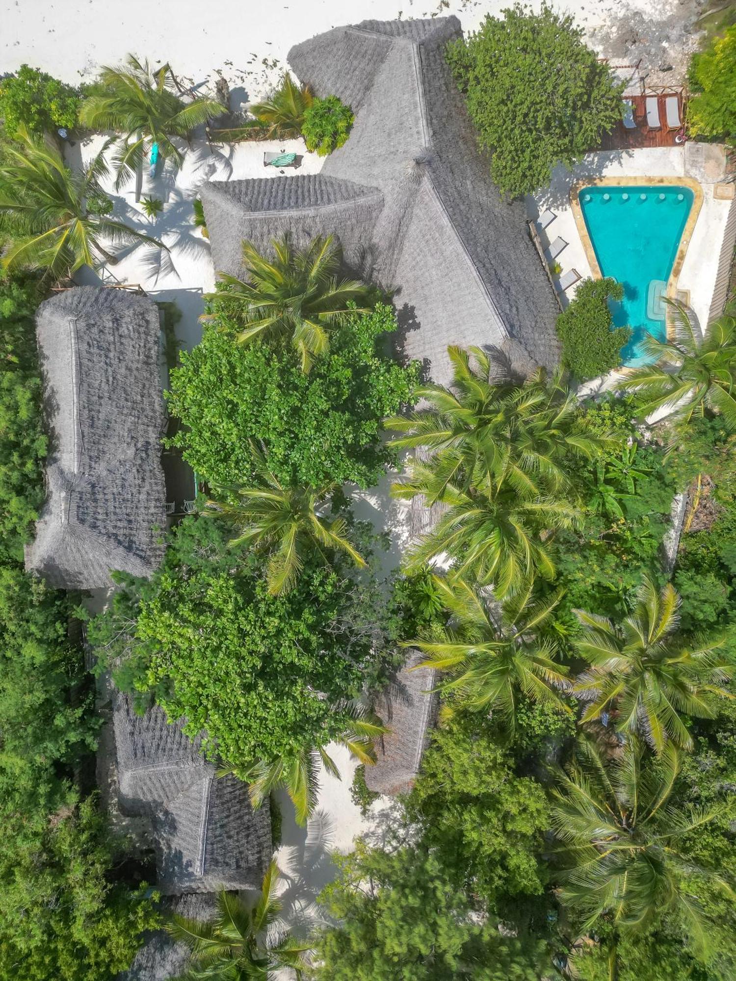 Natural Garden Boutique Hotel Jambiani  Exterior photo