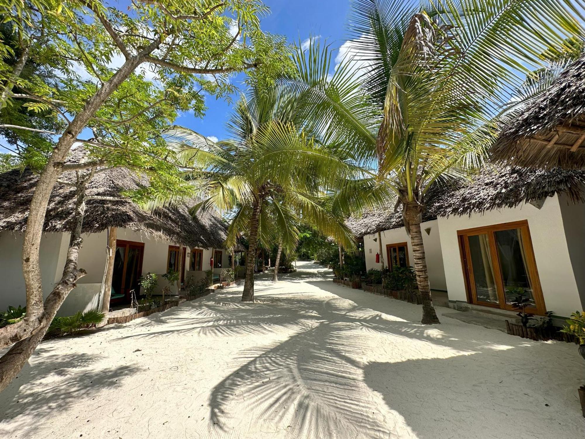 Natural Garden Boutique Hotel Jambiani  Exterior photo