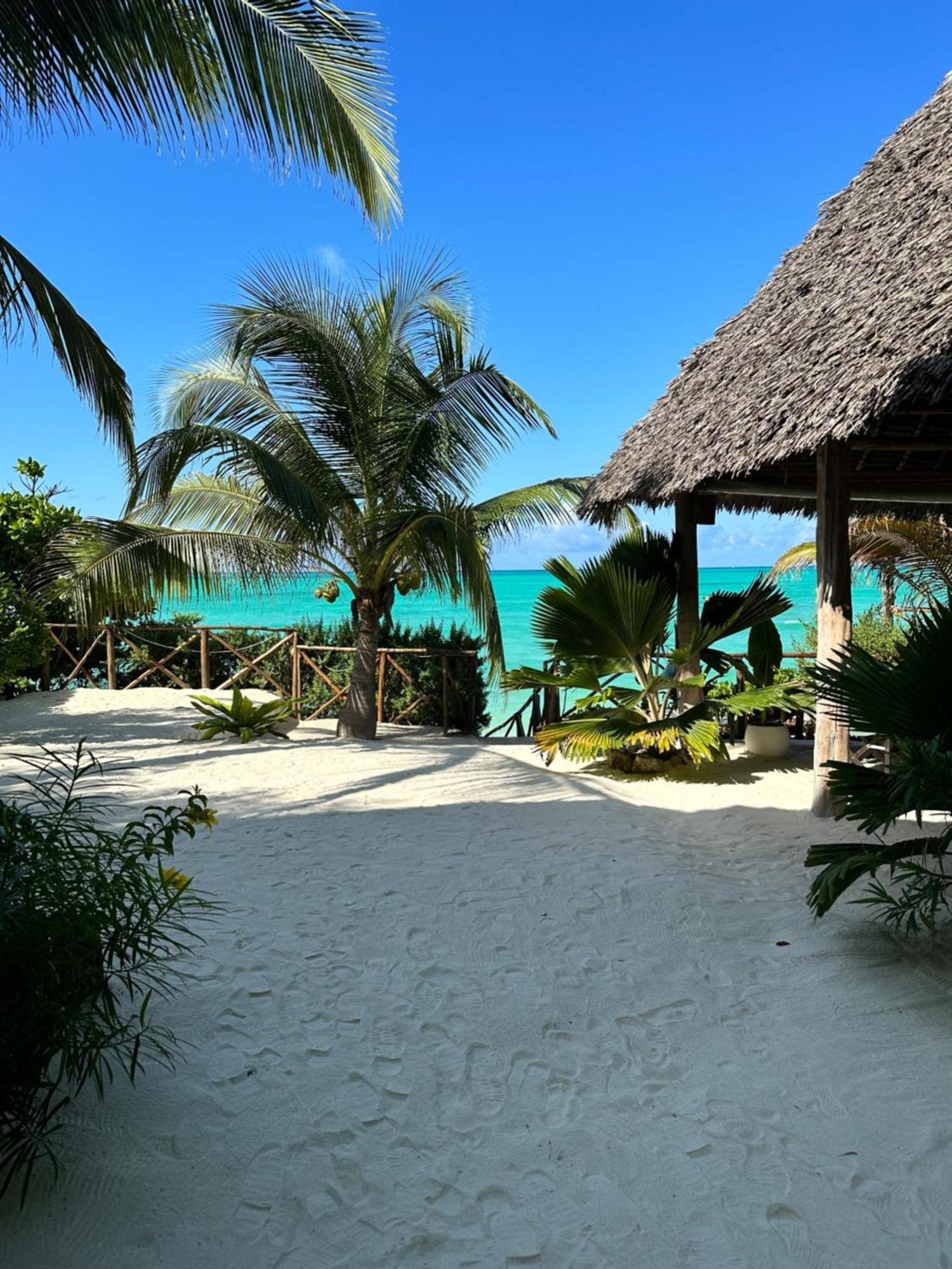 Natural Garden Boutique Hotel Jambiani  Exterior photo